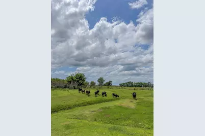 11810 Zamanek Road, Needville, TX 77461 - Photo 29