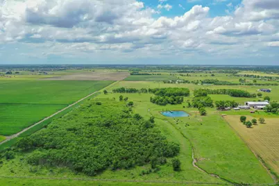 11810 Zamanek Road, Needville, TX 77461 - Photo 7