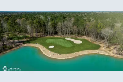 7330 Lake Arrowhead Lane, Porter, TX 77365 - Photo 29