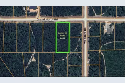 11818 Grand North Road, Willis, TX 77378 - Photo 3