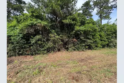 0 Moore Street, Tomball, TX 77375 - Photo 7