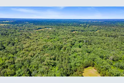 Lot 91 Cr 114, Centerville, TX 75833 - Photo 3