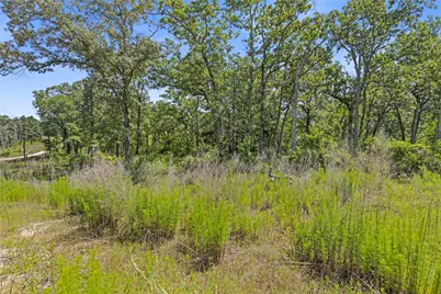 Lot 91 Cr 114, Centerville, TX 75833 - Photo 5