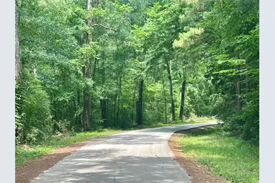 97 W Oak Tree Drive, Point Blank, TX 77364 - Photo 11