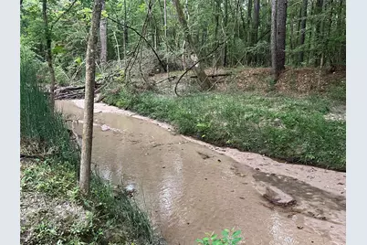 97 W Oak Tree Drive, Point Blank, TX 77364 - Photo 5