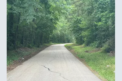 97 W Oak Tree Drive, Point Blank, TX 77364 - Photo 9