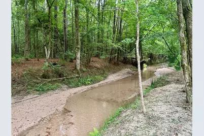 97 W Oak Tree Drive, Point Blank, TX 77364 - Photo 3