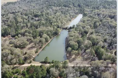 26364 Deerwood Drive, Hempstead, TX 77445 - Photo 5