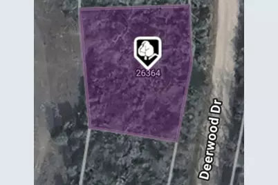 26364 Deerwood Drive, Hempstead, TX 77445 - Photo 3