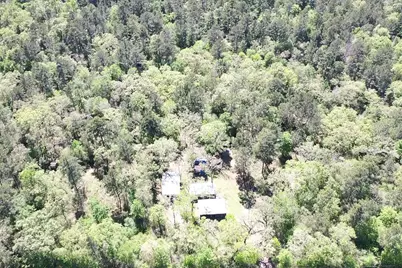 9884 Rocky Ridge Lane, Madisonville, TX 77864 - Photo 23