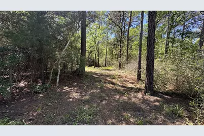 9884 Rocky Ridge Lane, Madisonville, TX 77864 - Photo 15