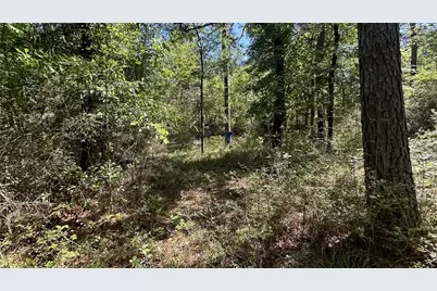 9884 Rocky Ridge Lane, Madisonville, TX 77864 - Photo 31