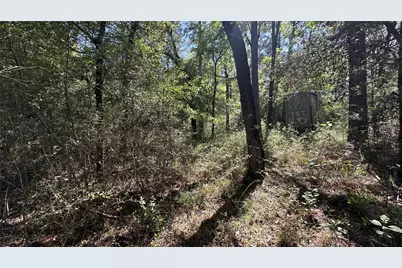 9884 Rocky Ridge Lane, Madisonville, TX 77864 - Photo 19