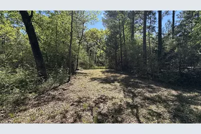 9884 Rocky Ridge Lane, Madisonville, TX 77864 - Photo 17