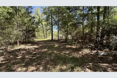 9884 Rocky Ridge Lane, Madisonville, TX 77864 - Photo 27