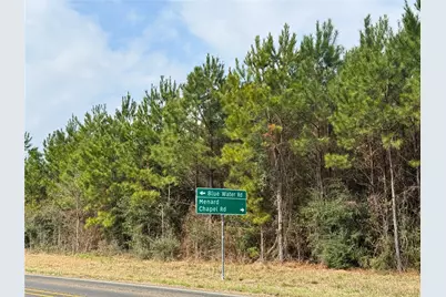 1 Fm 943, Livingston, TX 77351 - Photo 9