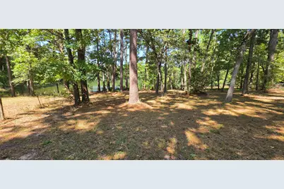13919 Cecala Drive, Montgomery, TX 77356 - Photo 17