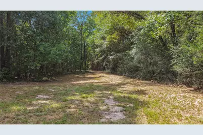 1215 Trinlady Park Road, Trinity, TX 75862 - Photo 17