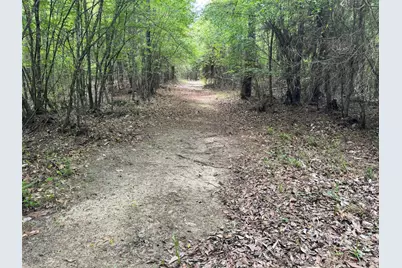 10586 Holland Road, Kountze, TX 77625 - Photo 9