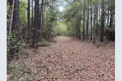 10586 Holland Road, Kountze, TX 77625 - Photo 11