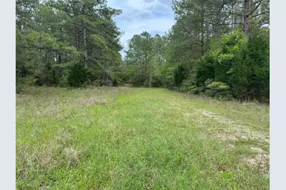 10586 Holland Road, Kountze, TX 77625 - Photo 15