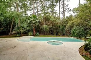 10 Indian Sage, The Woodlands, TX 77381 - Photo 1