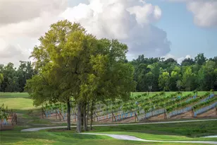 10425 Painted Brush Ln, Willis, TX 77318 - Photo 17