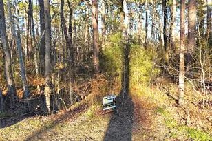 Tbd Governor Wood Dr, Point Blank, TX 77364 - Photo 1