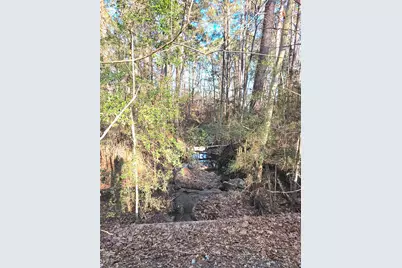 Tbd Governor Wood Drive, Point Blank, TX 77364 - Photo 3