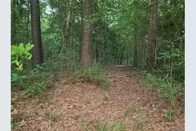 3377 Pine Lane, Saratoga, TX 77585 - Photo 27