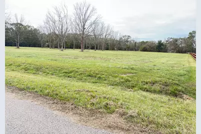 16834 Wrangler Road, Rosharon, TX 77583 - Photo 3