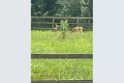 18062 Nelson Loop, Streetman, TX 75859 - Photo 27