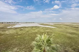 3126 Lafittes Point, Galveston, TX 77554 - Photo 41