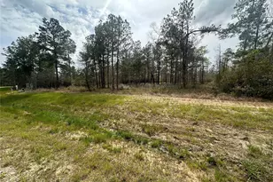 219 Iron Horse Rd, New Waverly, TX 77358 - Photo 1