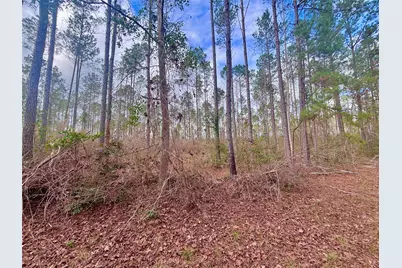 02 Fm 1005, Jasper, TX 75951 - Photo 3