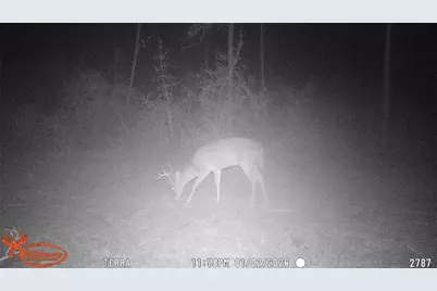02 Fm 1005, Jasper, TX 75951 - Photo 7