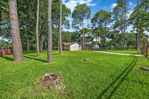 10110 Rolke Rd, Houston, TX 77099 - Photo 3