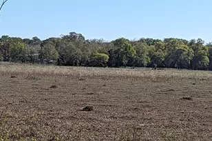 0000 County Road 159, Wharton, TX 77488 - Photo 1