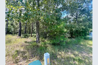 Tbd Hidden Oaks Drive, Point Blank, TX 77364 - Photo 3