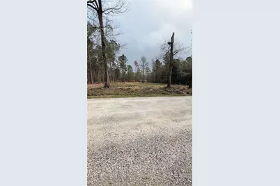 0 Dogwood Trail, Shepherd, TX 77371 - Photo 5