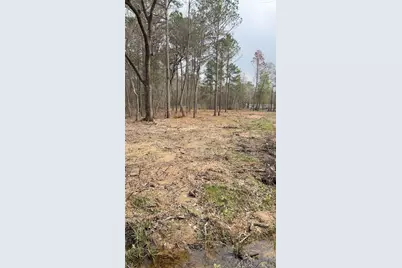 0 Dogwood Trail, Shepherd, TX 77371 - Photo 3