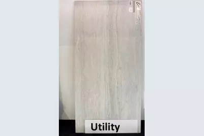 31011 Golden Felipe Street, Fulshear, TX 77441 - Photo 19