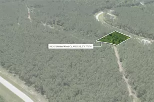 16215 Golden Wood Ct, Willis, TX 77378 - Photo 1