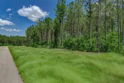 16215 Golden Wood Court, Willis, TX 77378 - Photo 5