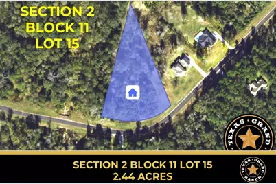 2-11-15 Tbd Remington Road, Huntsville, TX 77340 - Photo 1