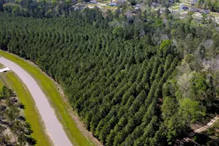 15761 Ridge Rock Rd, Willis, TX 77378 - Photo 5