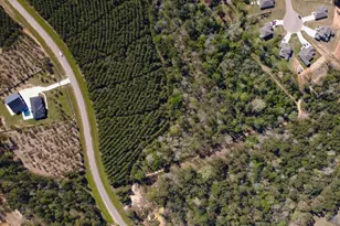 15761 Ridge Rock Rd, Willis, TX 77378 - Photo 3