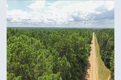 Tbd Hickman Road, Corrigan, TX 75939 - Photo 3