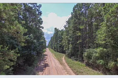 Tbd Hickman Road, Corrigan, TX 75939 - Photo 1