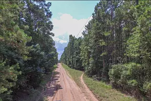 Tbd Hickman Rd, Corrigan, TX 75939 - Photo 1